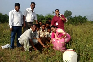 tree-plantation-